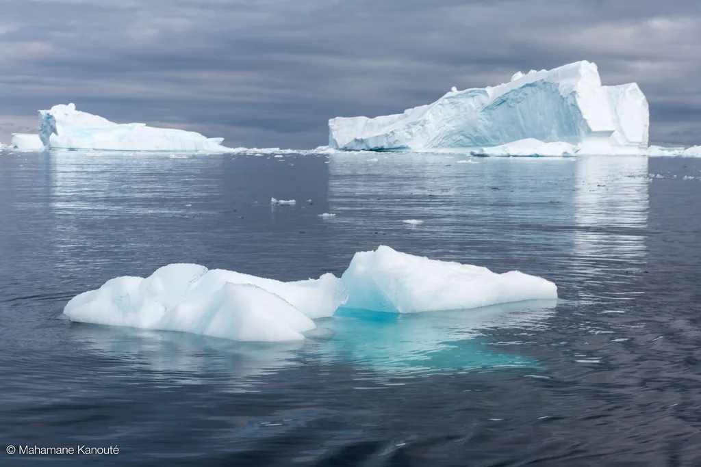 140129_100445_antarctique