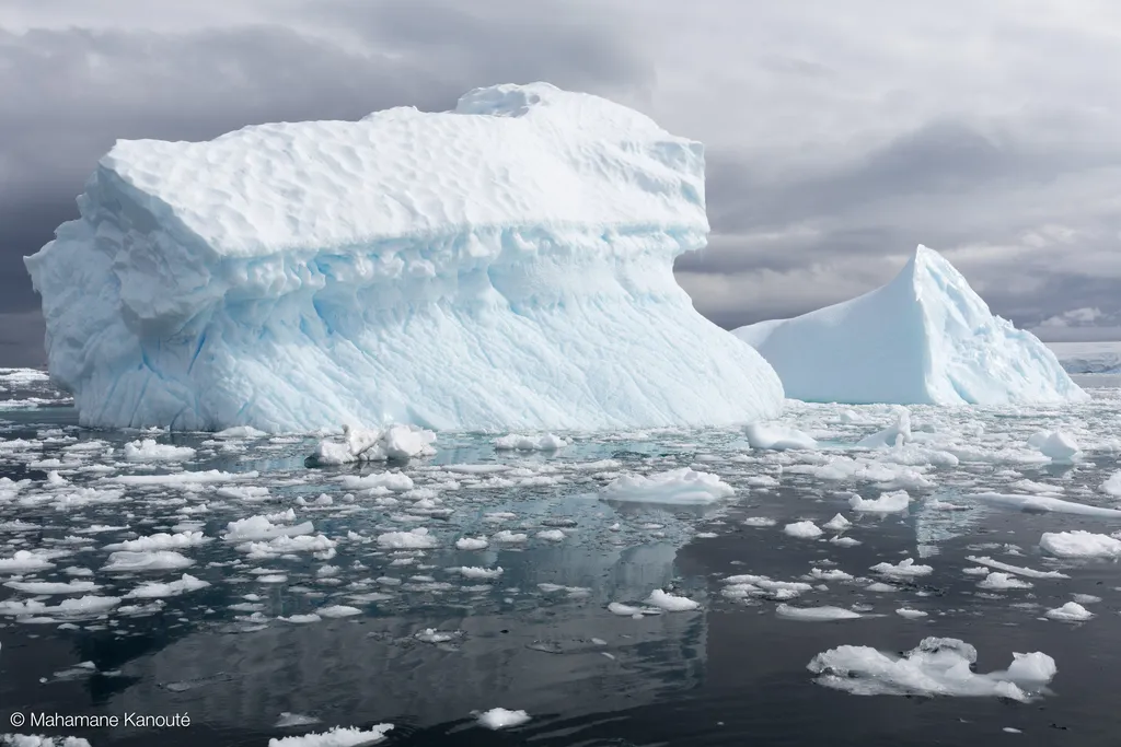 140129_110905_antarctique