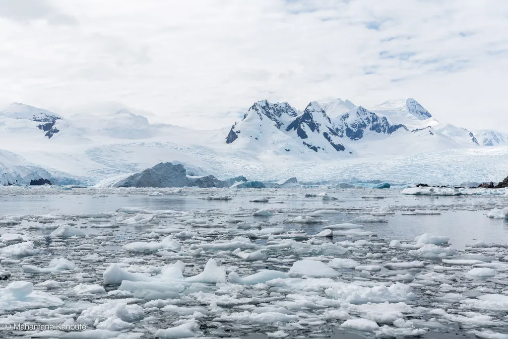 140129_112643_antarctique