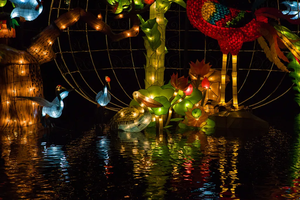 051015_201445_magie_des_lanternes