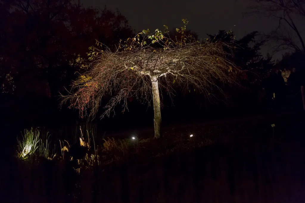 121028_193731_magie_des_lanternes