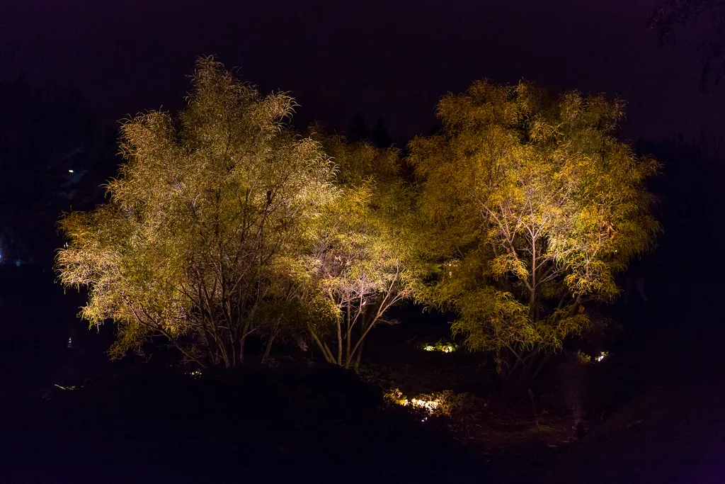 121028_193929_magie_des_lanternes