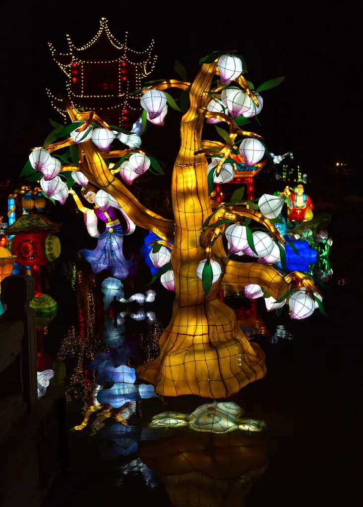121028_202512_magie_des_lanternes