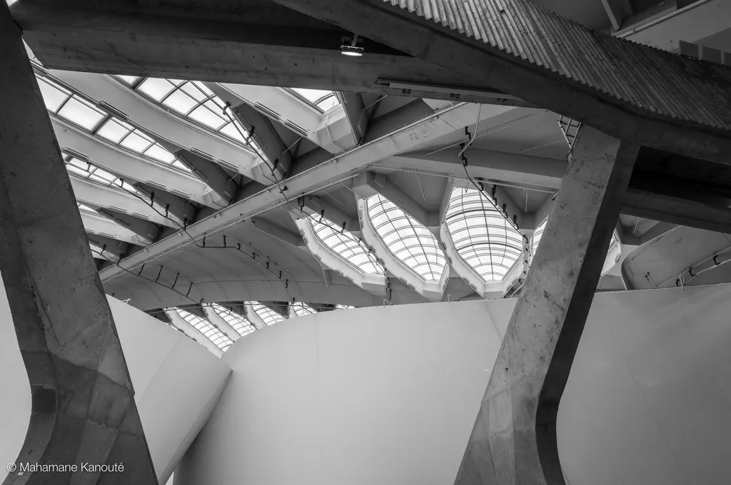 230205_143155_biodome
