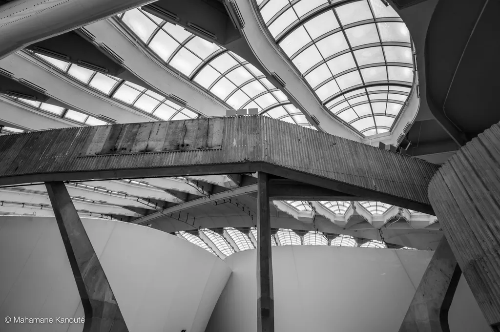 230205_143247_biodome