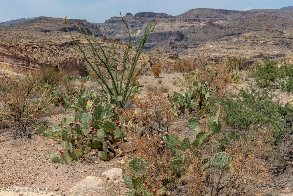 180802_131519_apache_trail
