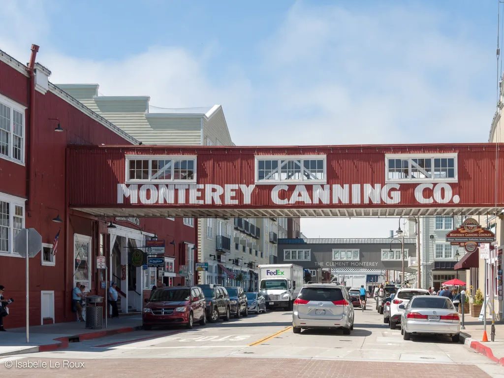 160815_143805_monterey