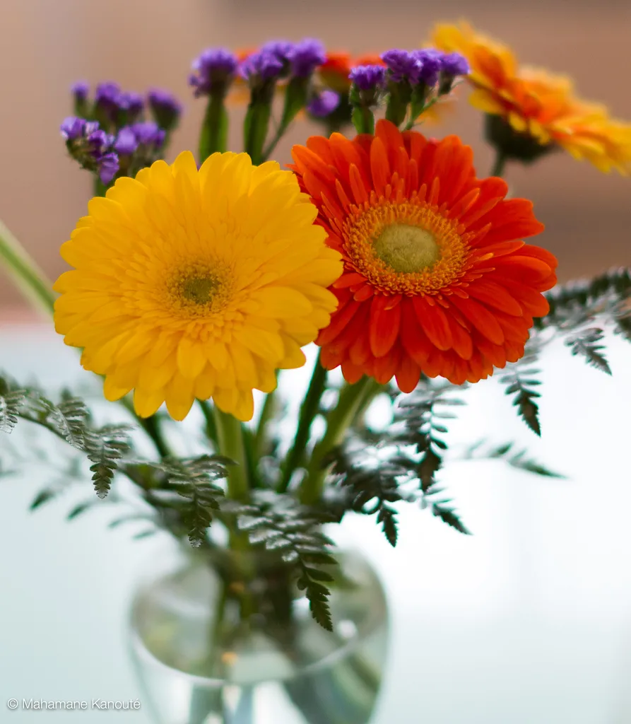 120422_165403_fleurs