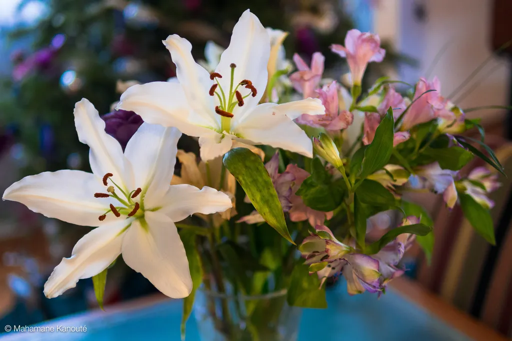 130104_132128_fleurs