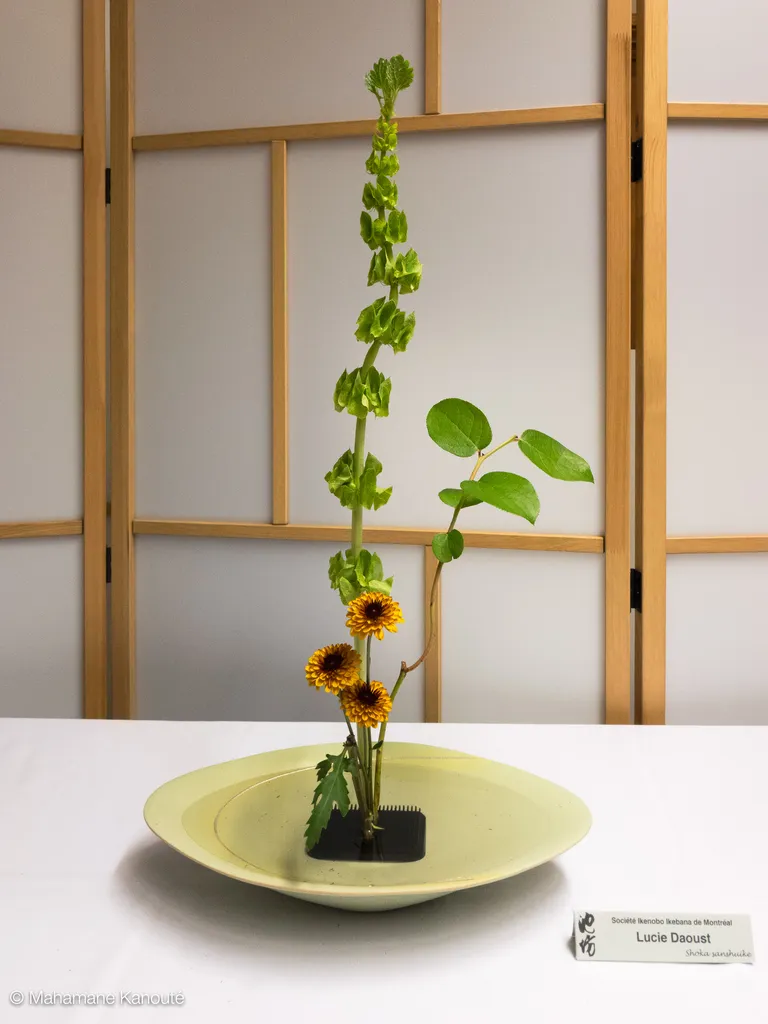 161002_114752_ikebana