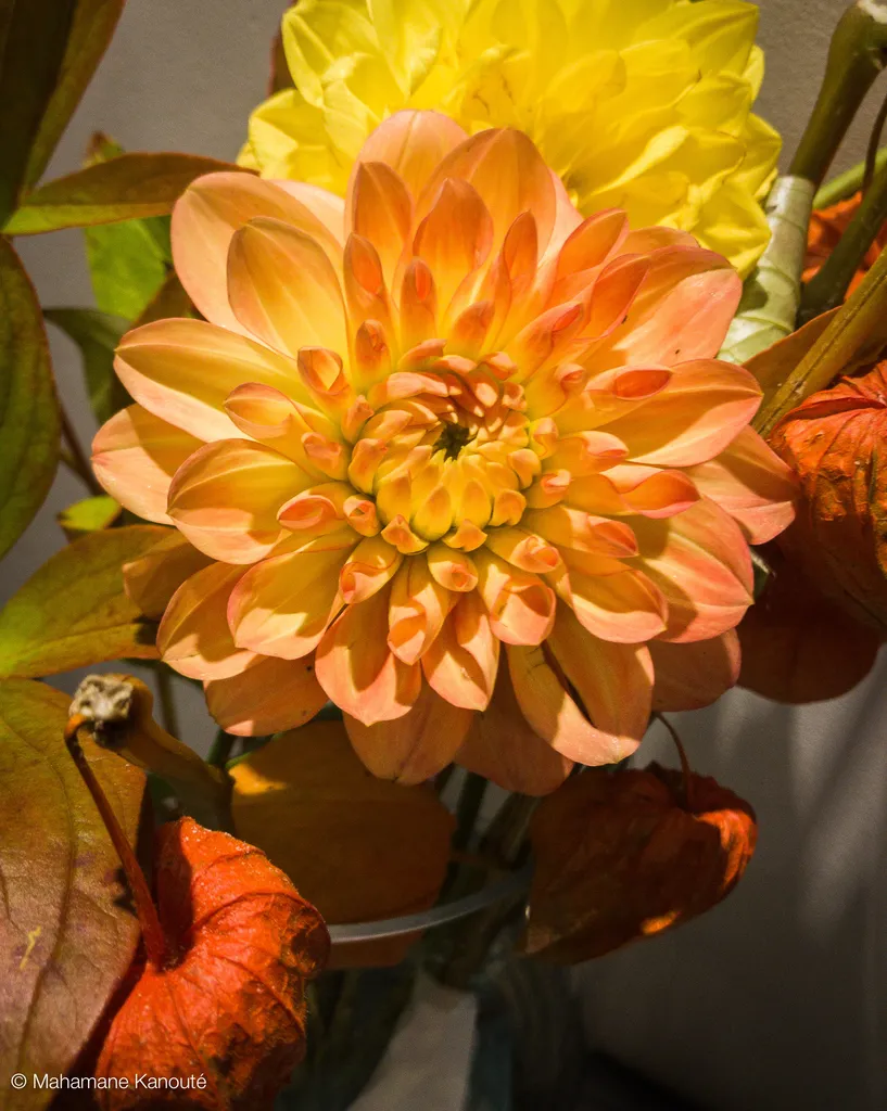 171013_195131_bouquet