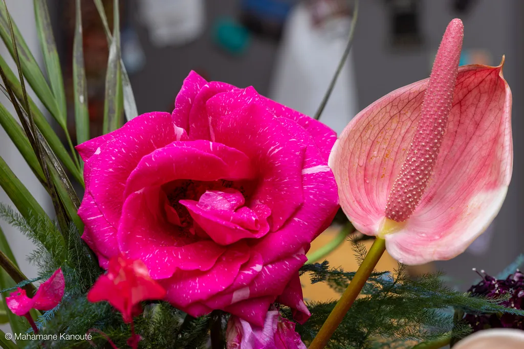 230910_160608_fleurs
