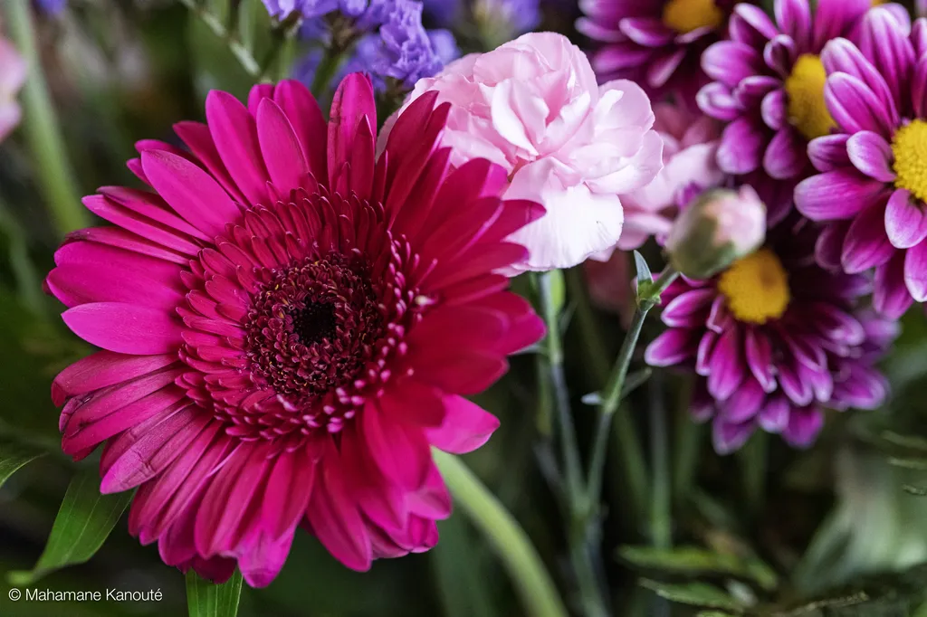 250323_130128_fleurs