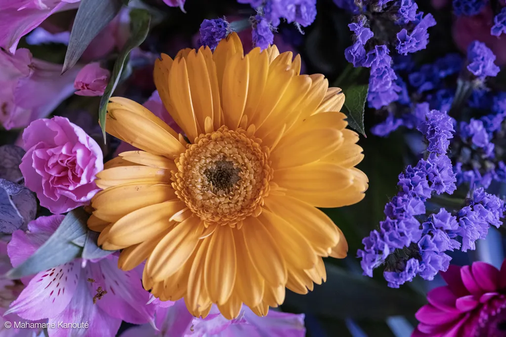 250323_130351_fleurs