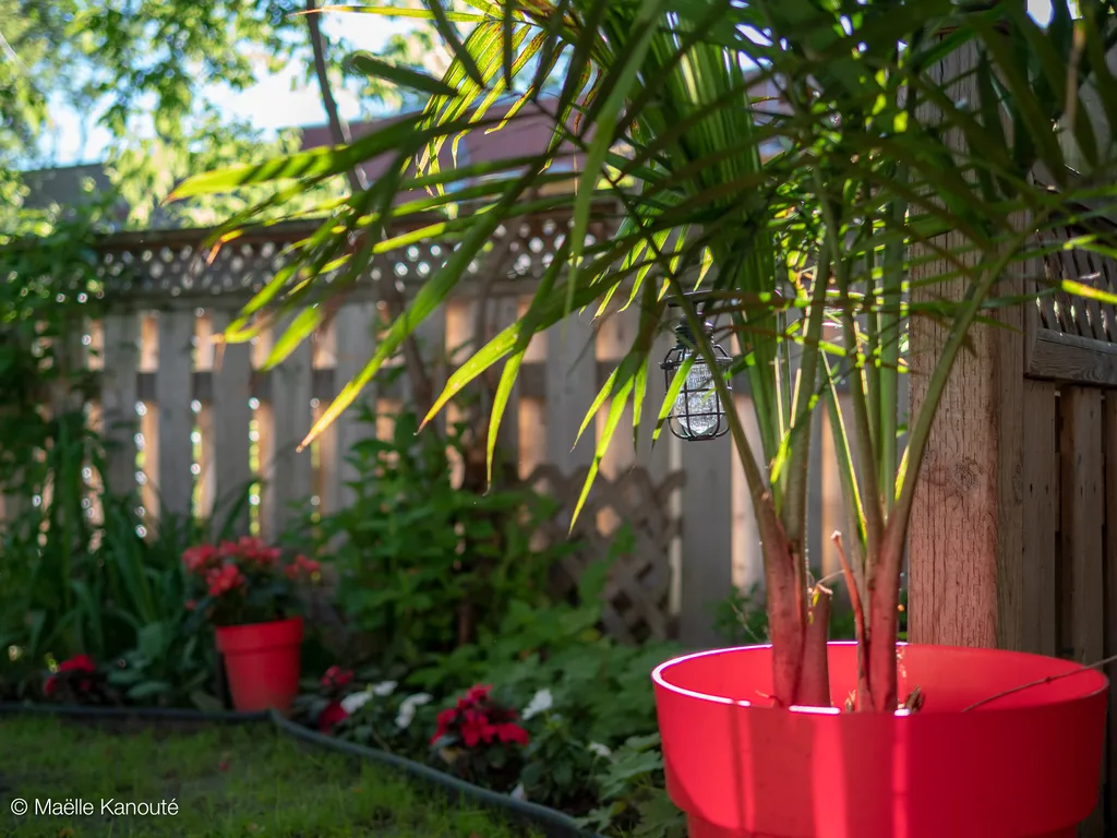 180619_182510_jardin