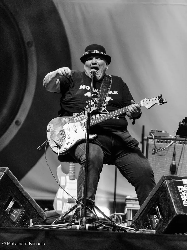 Popa Chubby (États-unis)